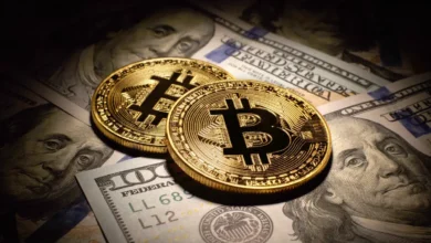 الحيتان يجمعون 3 عملات رقمية بديلة تعرف عليهم بيتكوين سترتفع على الأقل 14 ضعفاً