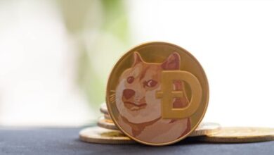 اكتشف كيف كان أداء العملة الرقمية Dogecoin