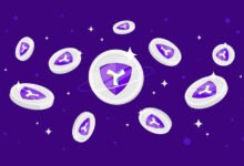 معلومات عن عملة XYM ومشروعها