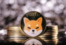 عملة شيبا إينو تبرز في مؤتمر Consensus لعام 2023