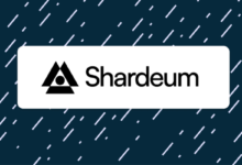 كيف تزيد فرص حصولك على إيردروب شارديوم Shardeum Airdrop كيف تزيد فرص حصولك على إيردروب شارديوم