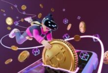 لعبة هامستر كومبات المصغرة