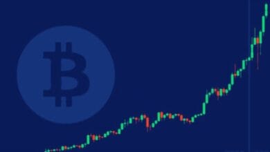 دخول البيتكوين منطقة الخطر بعد أكبر انخفاض متتالي له دخول البيتكوين منطقة الخطر بعد أكبر انخفاض متتالي له