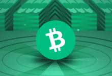 تجاوز البيتكوين 88 ألف دولار وسط تداولات بيع كل ما هو أمريكي!