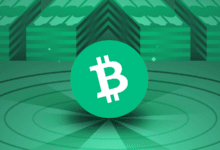 ارتفاعات كبيرة للعملات الرقمية في نهاية الأسبوع ارتفاعات كبيرة للعملات الرقمية في نهاية الأسبوع