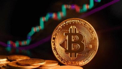 ارتفاع سعر بيتكوين اليوم إلى 116 ألف دولار ارتفاع سعر بيتكوين اليوم إلى 116 ألف دولار