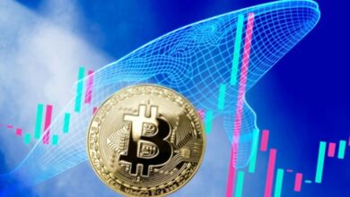 انهيار البيتكوين دون 75 ألف دولار