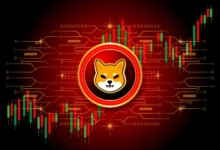 إينو (SHIB) يحقق أهم انعكاس
