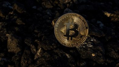 القيمة الحقيقية للعملات الرقمية ليست البيتكوين فقط