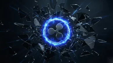 حيتان XRP تشتري 470 مليون عملة حيتان XRP تشتري 470 مليون عملة