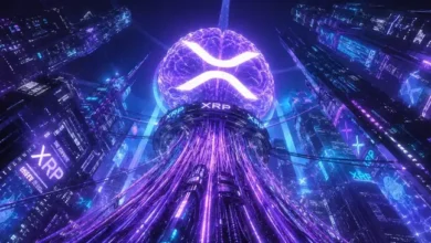 ارتفاع XRPN بنسبة 68% رغم تراجع XRP