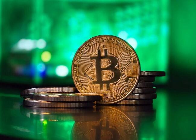 محافظ البيتكوين تسجل مستوى قياسياً جديداً